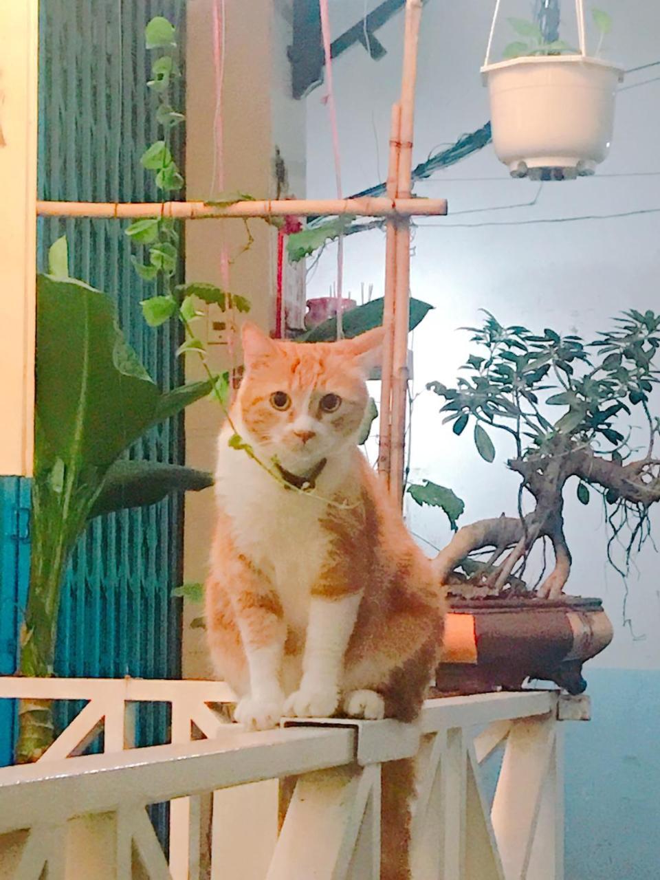 Qcub1 Homestay Bandar Ho Chi Minh Luaran gambar